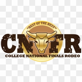 Cnfr"   Src="https - Tempel Synagogue, HD Png Download - rodeo png